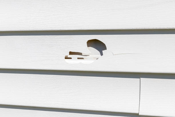 Professional Siding Installation in North Arlington, NJ