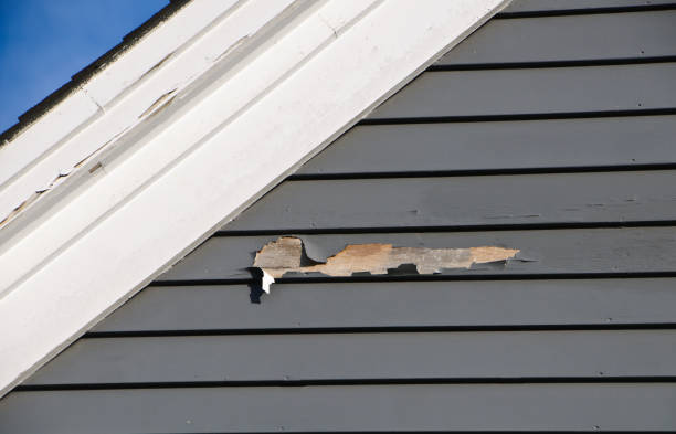 Best Vinyl Siding Installation  in North Arlington, NJ